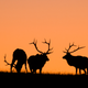 Illustration for article titled Republican Plan To Sell Off Your Public Land Shaping Up To Be Major Election Issue